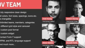 DV Team (v2.2) Responsive Team Showcase WordPress Plugin