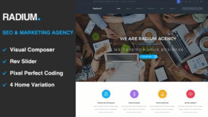 Radium (v2.6) SEO /Digital Agency WordPress Theme
