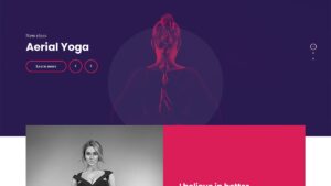 CSSIgniter Vigour v1.1.1 Wordpress Themes