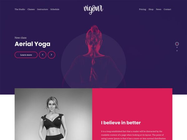 CSSIgniter Vigour v1.1.1 Wordpress Themes