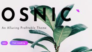 Osnic v3.0.0 Adsense WordPress Theme