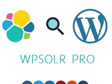 WPSOLR PRO v23.3 WordPress Theme