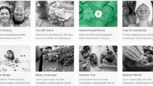 AIT Spa v2.0.6 WordPress Theme