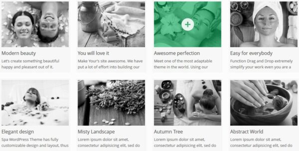 AIT Spa v2.0.6 WordPress Theme
