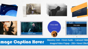 Image Caption Hover Pro WordPress Plugin v19.2