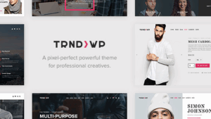 Trendy v1.3 Creative Multi-Purpose WordPress Theme