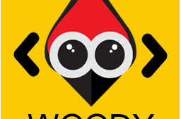 Woody Code Snippets Premium v2.5.1 [Activated]