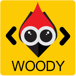 Woody Code Snippets Premium v2.5.1 [Activated]