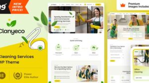 ClanyEco v13.0 Cleaning Services WordPress Theme (Activated)