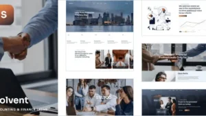 Solvent (v1.1) Accounting and Finance WordPress Theme