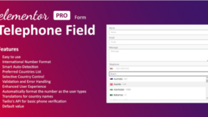 Telephone Field for Elementor form v1.3.0