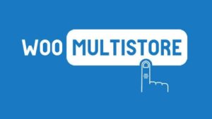 WooMultistore v5.4.0 [Activated]