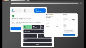 Stripe Express (Premium) v1.26.0 [Activated]