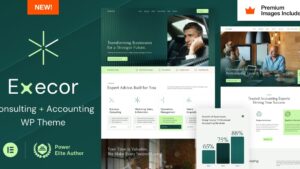 Execor v2.0 Accounting and Management Consulting