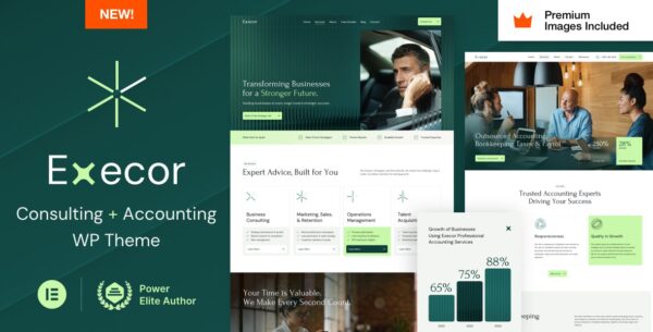 Execor v2.0 Accounting and Management Consulting