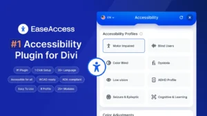 EaseAccess v2.1.0 (DiviNext)