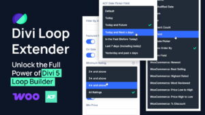 Divi Loop Extender v1.0.13