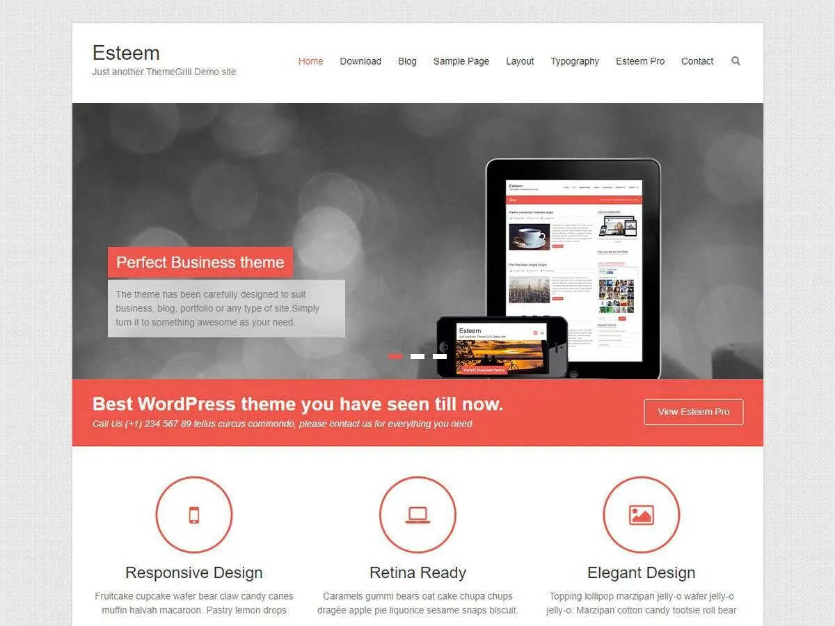 Esteem Pro v2.2.7 Wordpress Theme